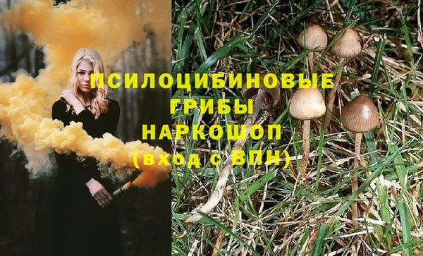 a pvp Аркадак