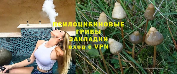 a pvp Аркадак
