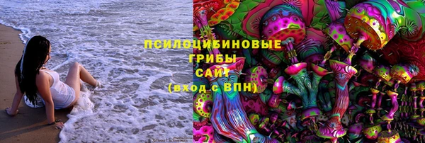 не бодяженный Арсеньев