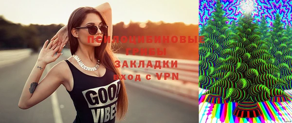a pvp Аркадак