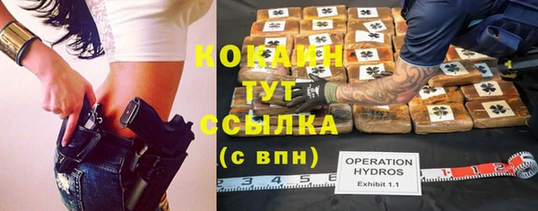 не бодяженный Арсеньев