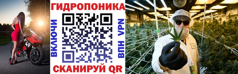 Бошки Шишки OG Kush  где купить наркотик  Багратионовск 